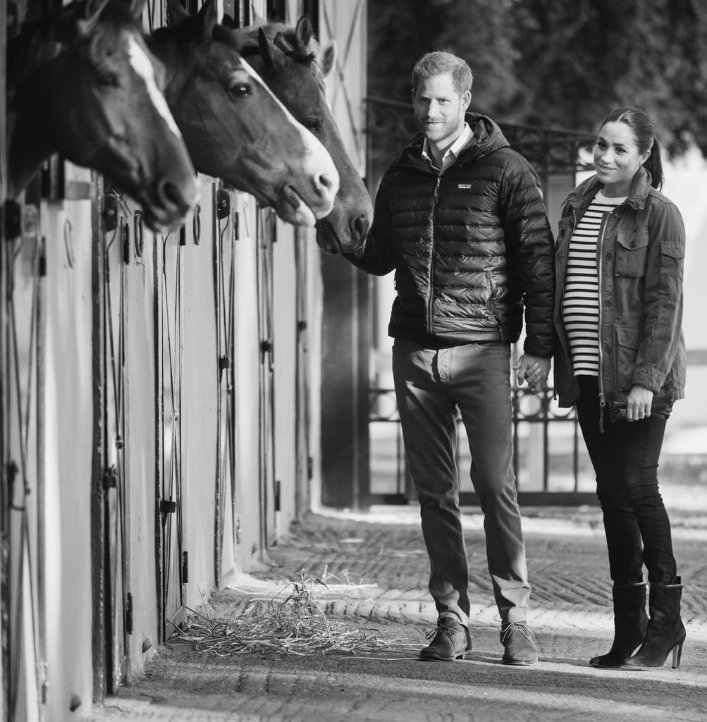 Meghan and Harry With Horses on Morocco Tour February 2019