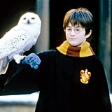 best shows to watch with tweens