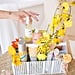 Best Organization Products From Urban Outfitters | 2020