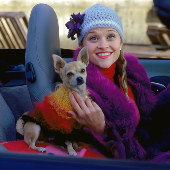 30 Movies Like Legally Blonde