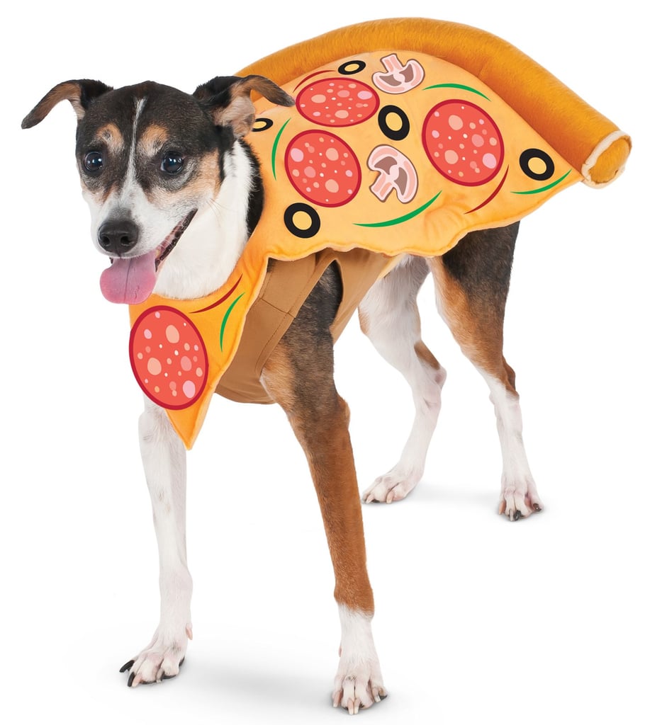 Pizza Slice Pet Costume