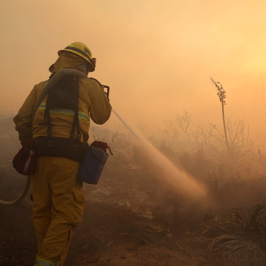 San Diego Wildfires May 2014 | Pictures