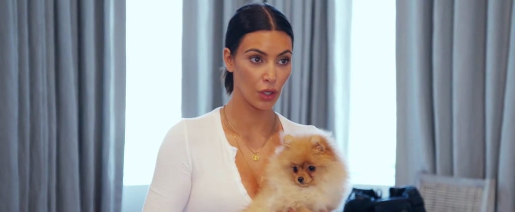 Kim和Kourtney Kardashian在Kuwtk上的小狗战斗