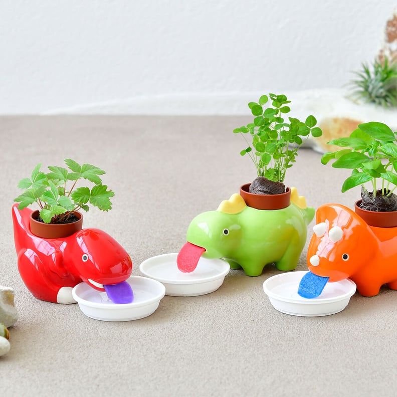 Self-Watering Dinosaur Planters