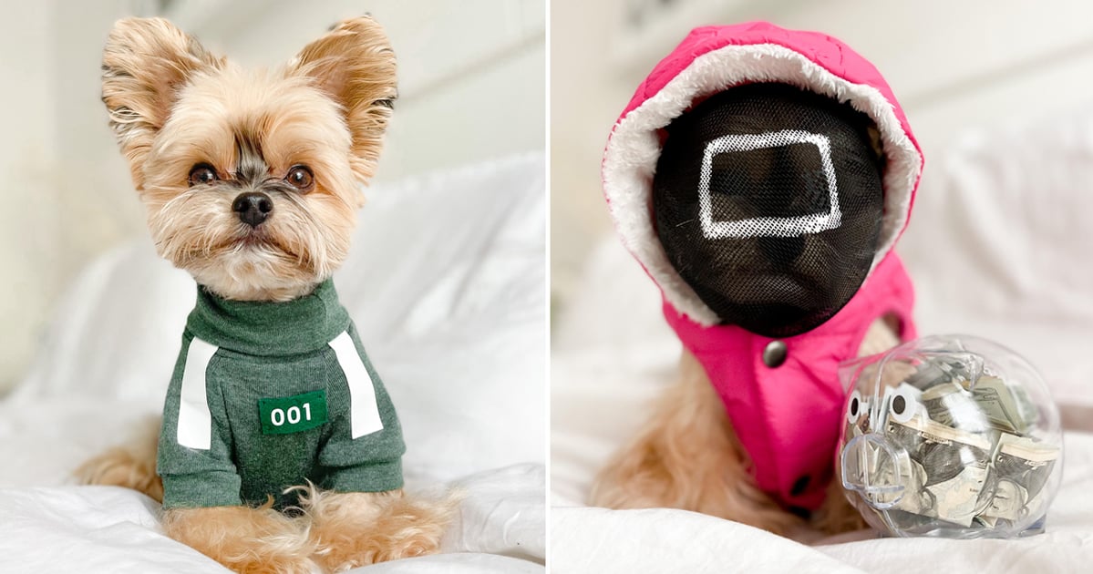 Chanel dog shirt dog sweater dog costume pink or black
