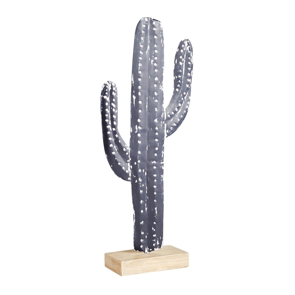Tall Black Cactus