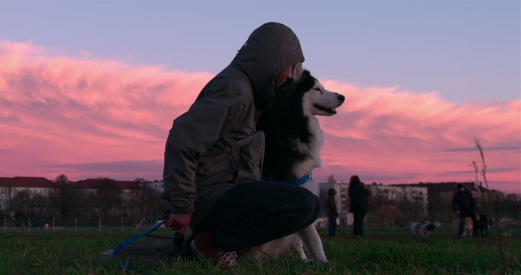 Stills From "Dogs"