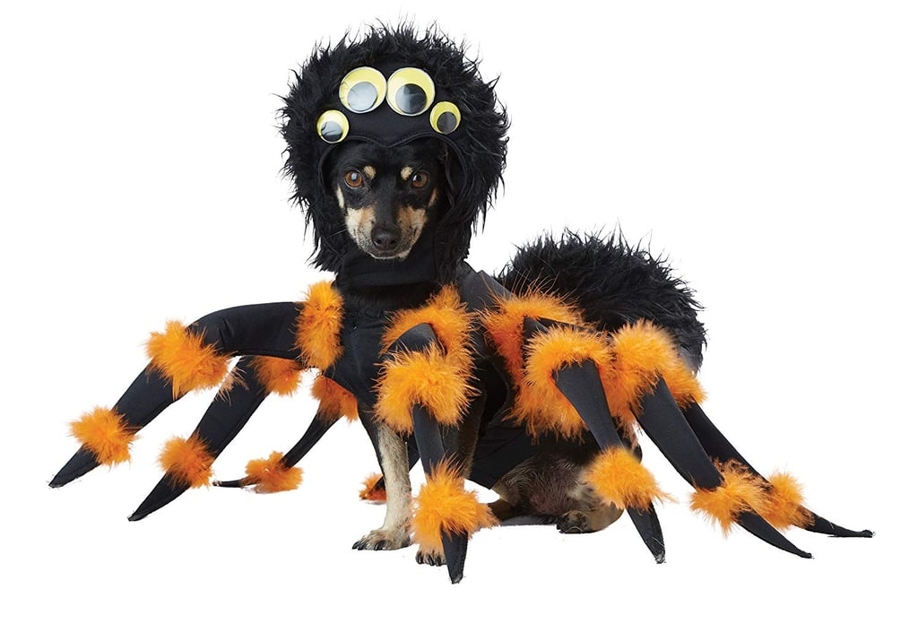 Spider Pup Costume