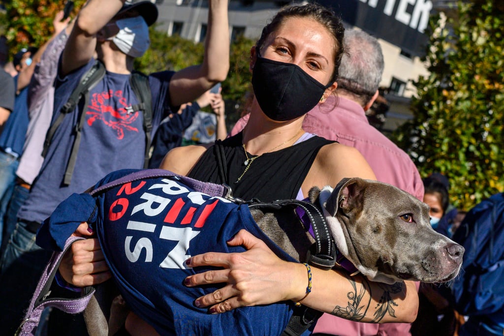 Crowds Celebrate Joe Biden And Kamala Harriss Win Photos Popsugar News Photo 4