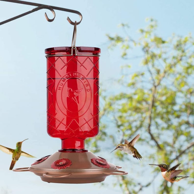 A Hummingbird Feeder: Bolite Glass Hummingbird Feeder