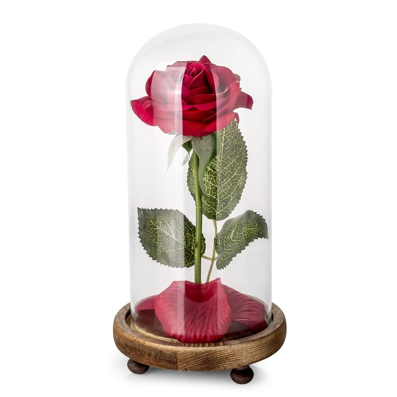 Beauty and the Beast Rose Kit