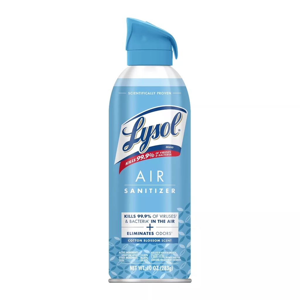 An Air Sanitizer