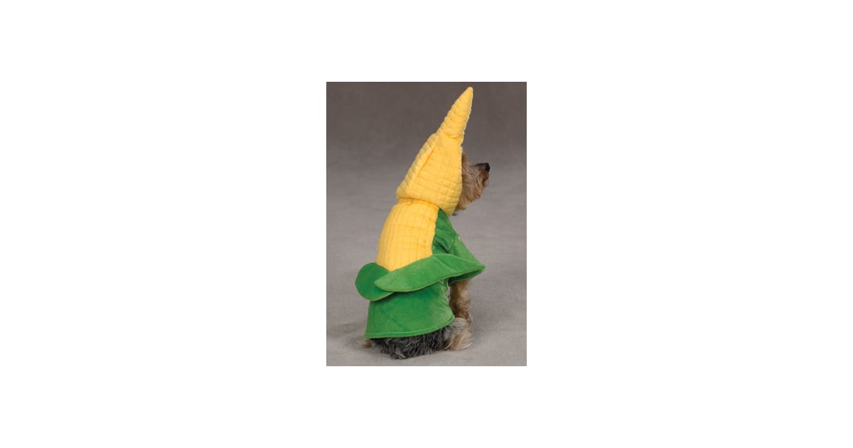 Corn Costume For Dogs POPSUGAR Pets