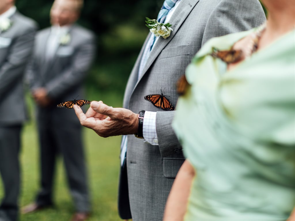 Butterfly Release at Wedding to Honor a Loved One