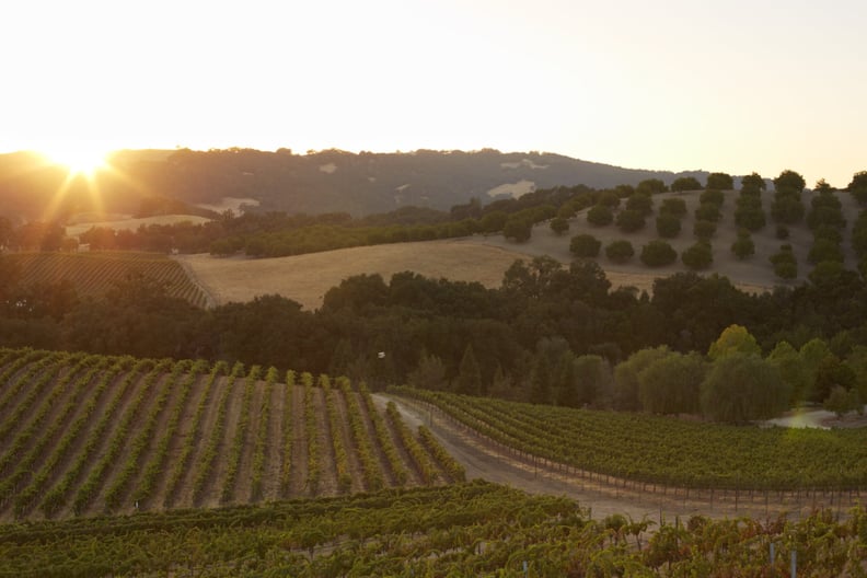 Paso Robles, California