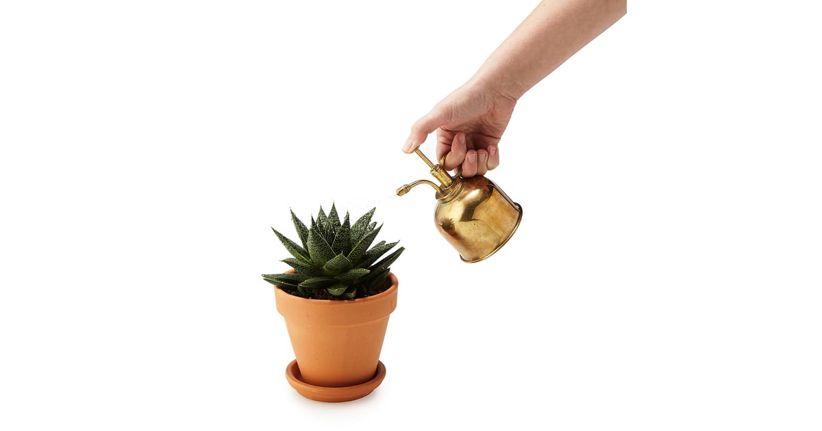Brass Succulent Mister Best Gifts For SistersinLaw POPSUGAR Smart