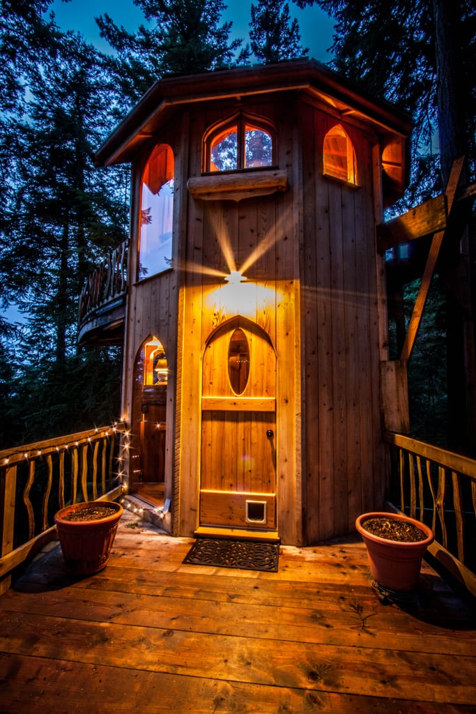 Tree House Rental in Washington