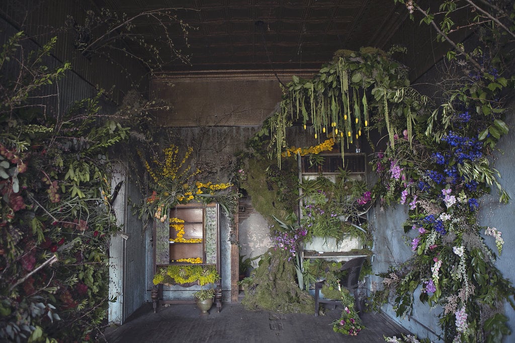 She is running a crowdsourcing campaign to raise $34K in funding for the Flower House project.