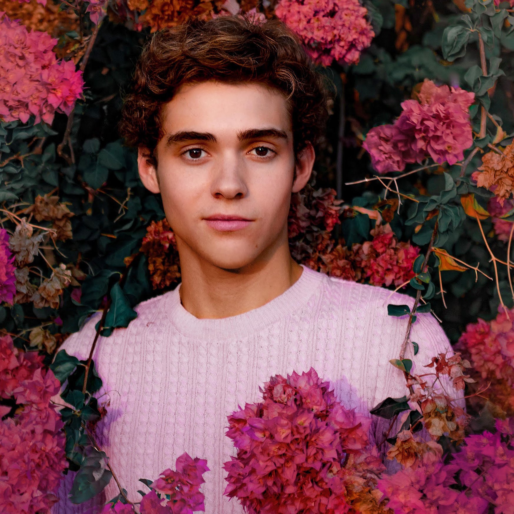 Joshua Bassett Common Sense Song Popsugar Entertainment