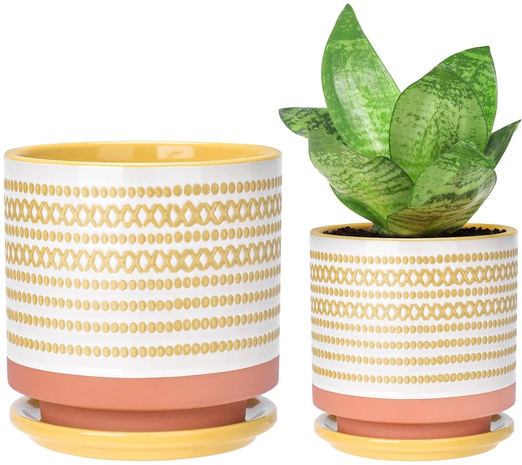 Best Decorative Pots: Small Ceramic Planters with Porcelain Tray