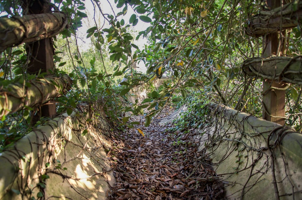 Abandoned Disney Park Photos