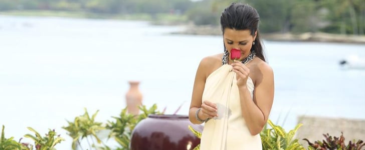 Who Did Andi Dorfman Pick on The Bachelorette Finale?