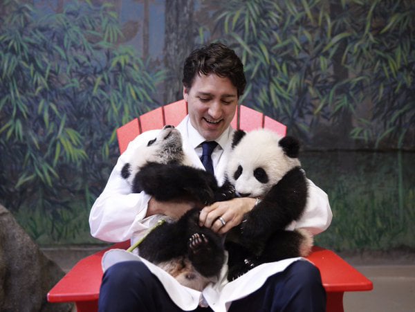When He Cuddled With Some Baby Pandas