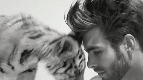 Hot Celebrity Guys With Cats