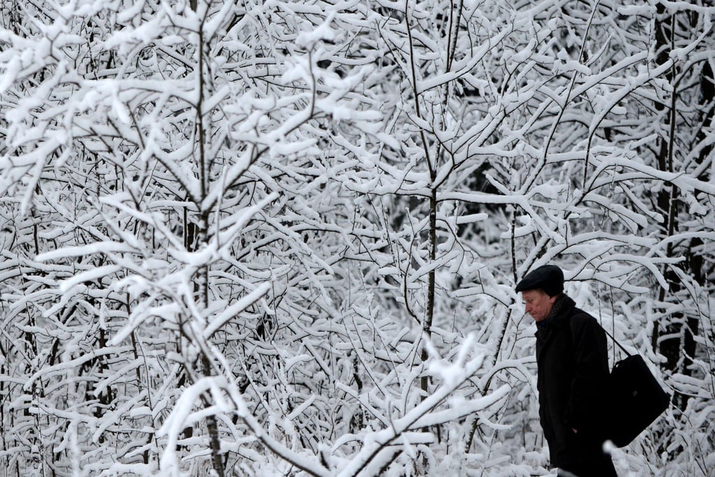 A man walked among snow-covered trees outside Moscow, Russia.