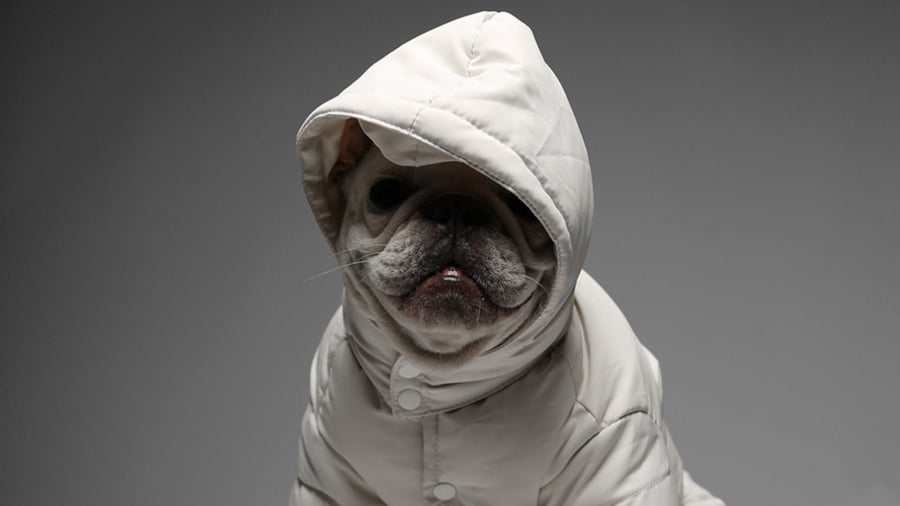 Max Bone Aspen Coat Here S What Us Fashion Girls Are Gifting Our Fam Sos And Gal Pals This Season Popsugar Fashion Photo 5