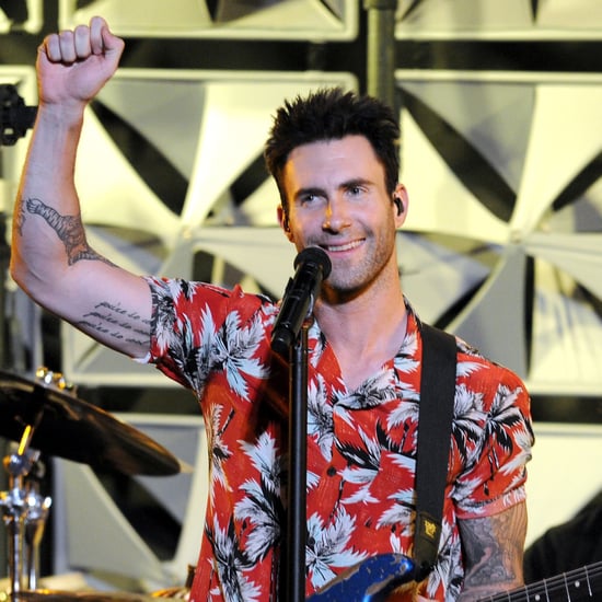 Fan Attacks Adam Levine at Maroon 5 Concert | Video