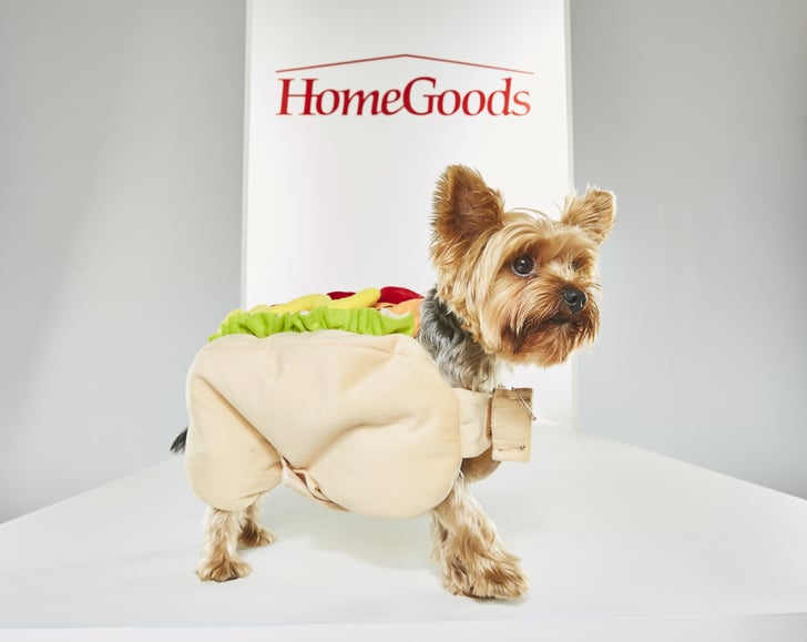 Tiny Taco Pet Halloween Costumes From HomeGoods POPSUGAR Home Photo 22
