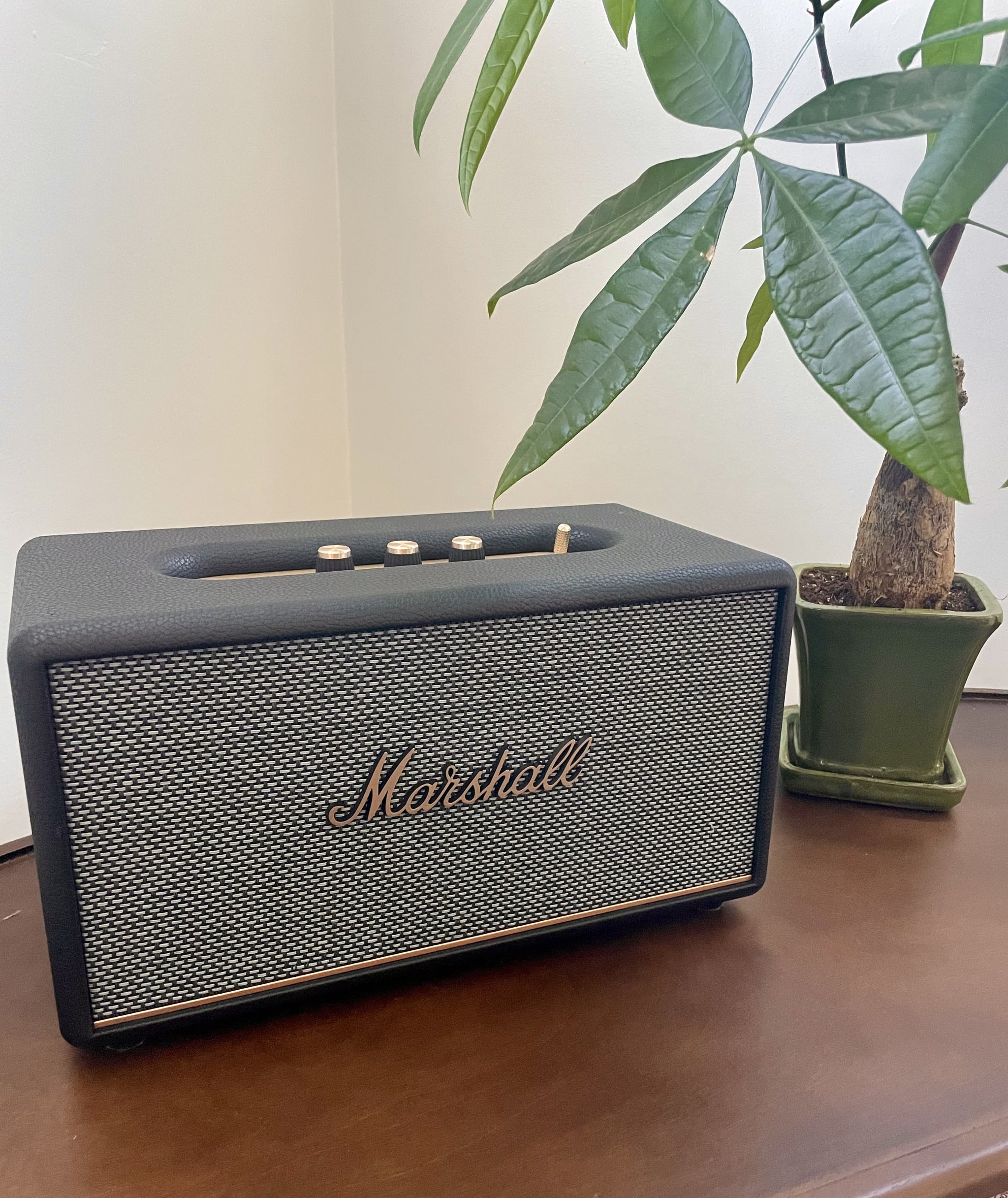 Marshall Stanmore III speaker on a table with a plant.