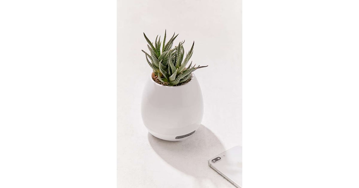 Planter bluetooth speaker best sale
