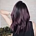 Aubergine Hair Colour Trend