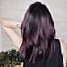 Eggplant Hair Color Trend