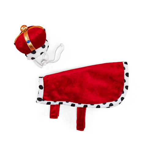 Petco Halloween Costumes: Royalty