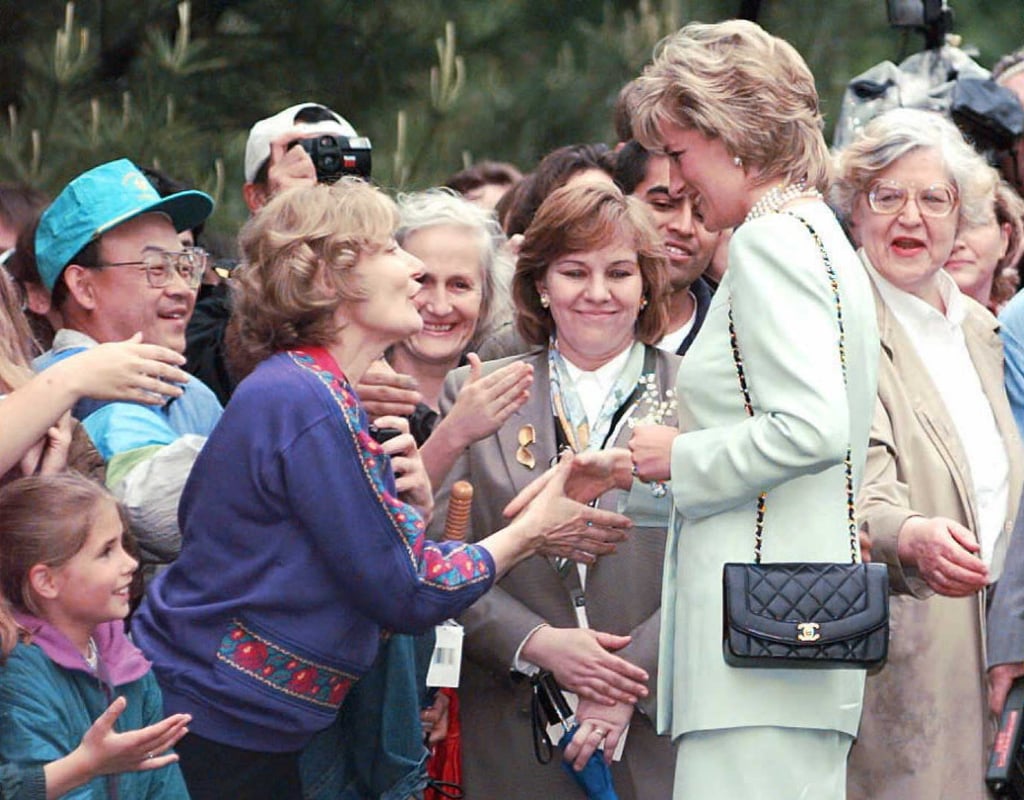 Princess Diana's Hair