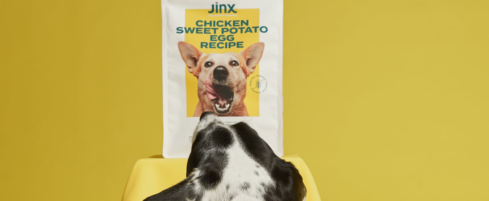 Jinx Dog Food Review POPSUGAR Pets