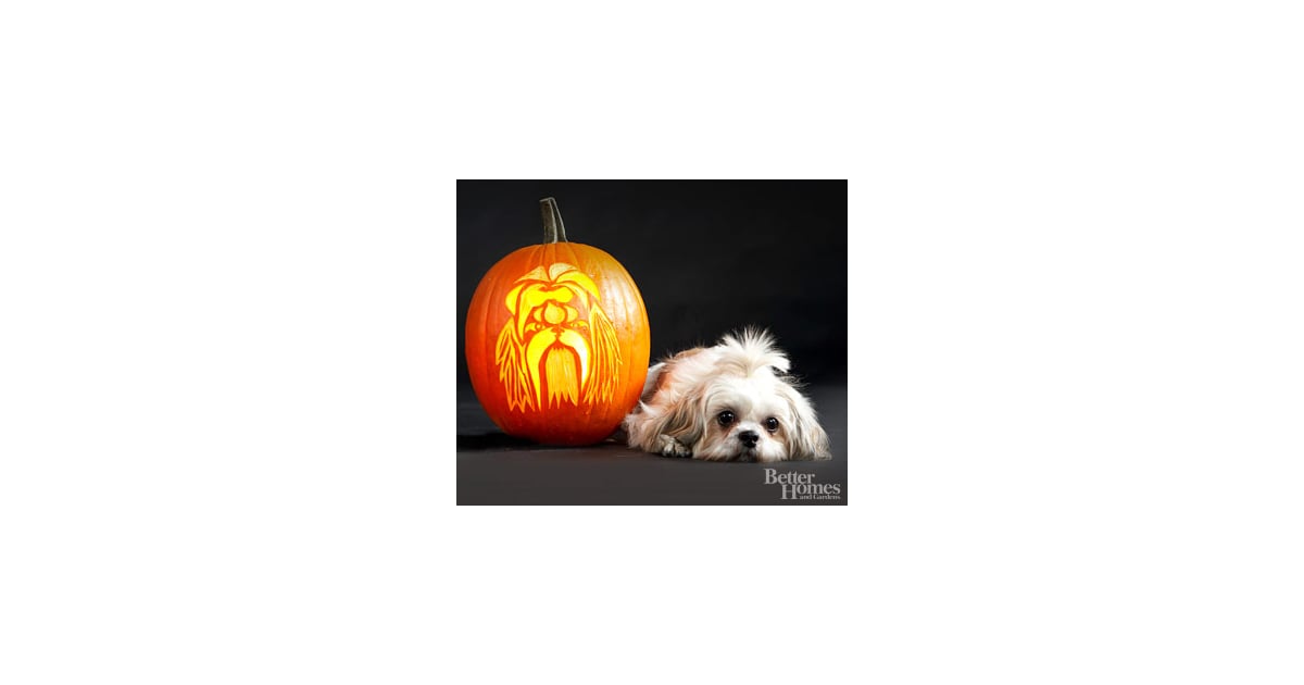 shih-tzu-downloadable-dog-breed-pumpkin-stencils-popsugar-pets-photo-41