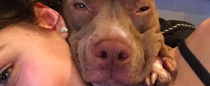 Dog Won't Let Owners Kiss | Video