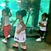 Stormi Webster Photo at the Aquarium July 2019