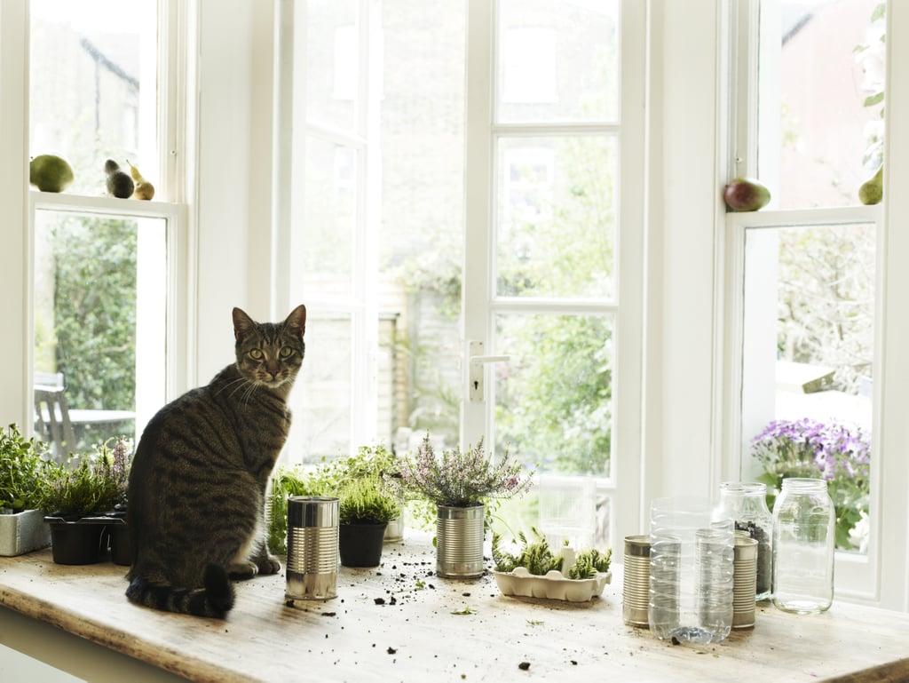 This cat who knows the importance of taking time to cultivate your passions.