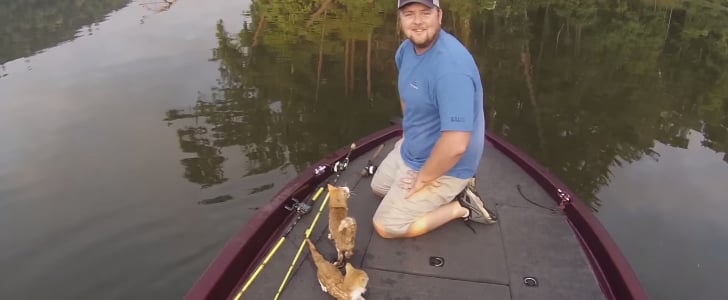 Kittens Rescued From Alabama River | Video