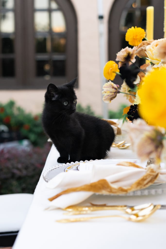 Check Out This Harry Potter Hufflepuff-Themed Wedding
