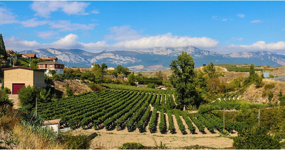 Best Wine Regions in Spain POPSUGAR Smart Living