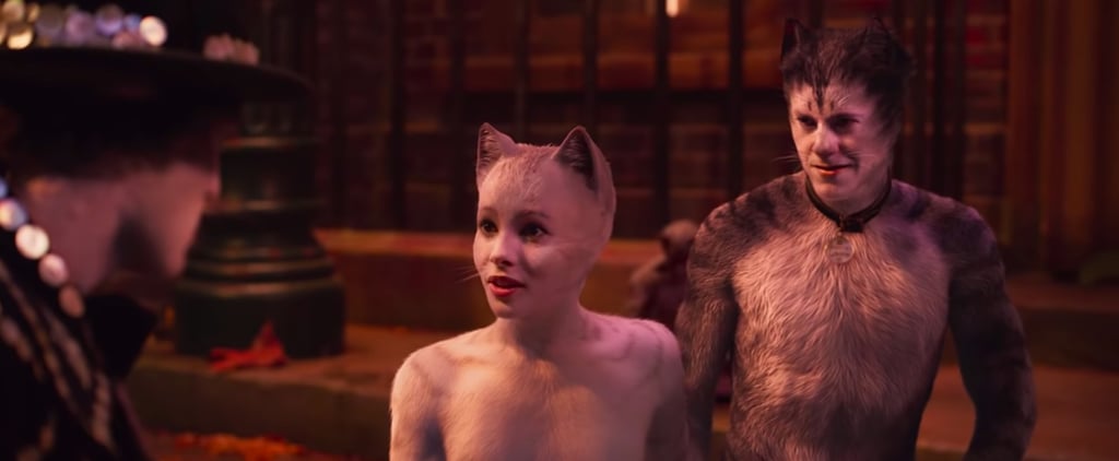 What Is Cats the Musical About?