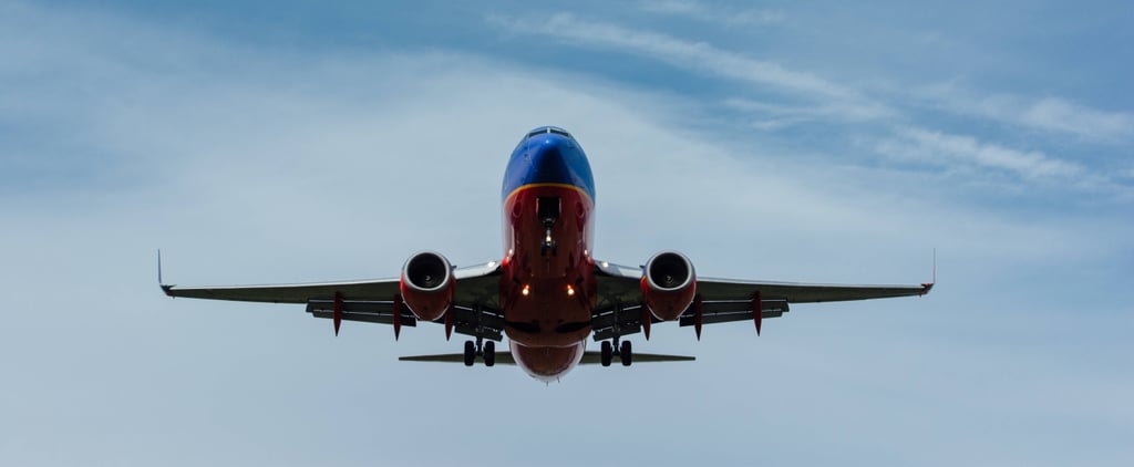 Airport Employee Secrets