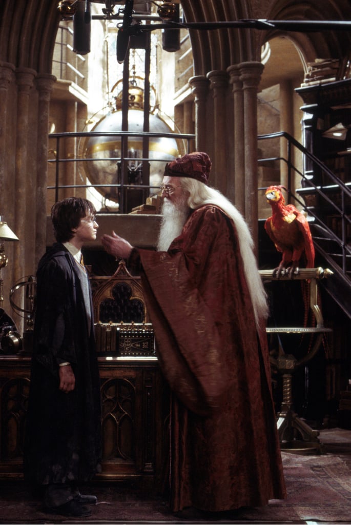 “我们必须尽量不要沉下我们的痛苦。但战斗。”- - - - - -Dumbledore