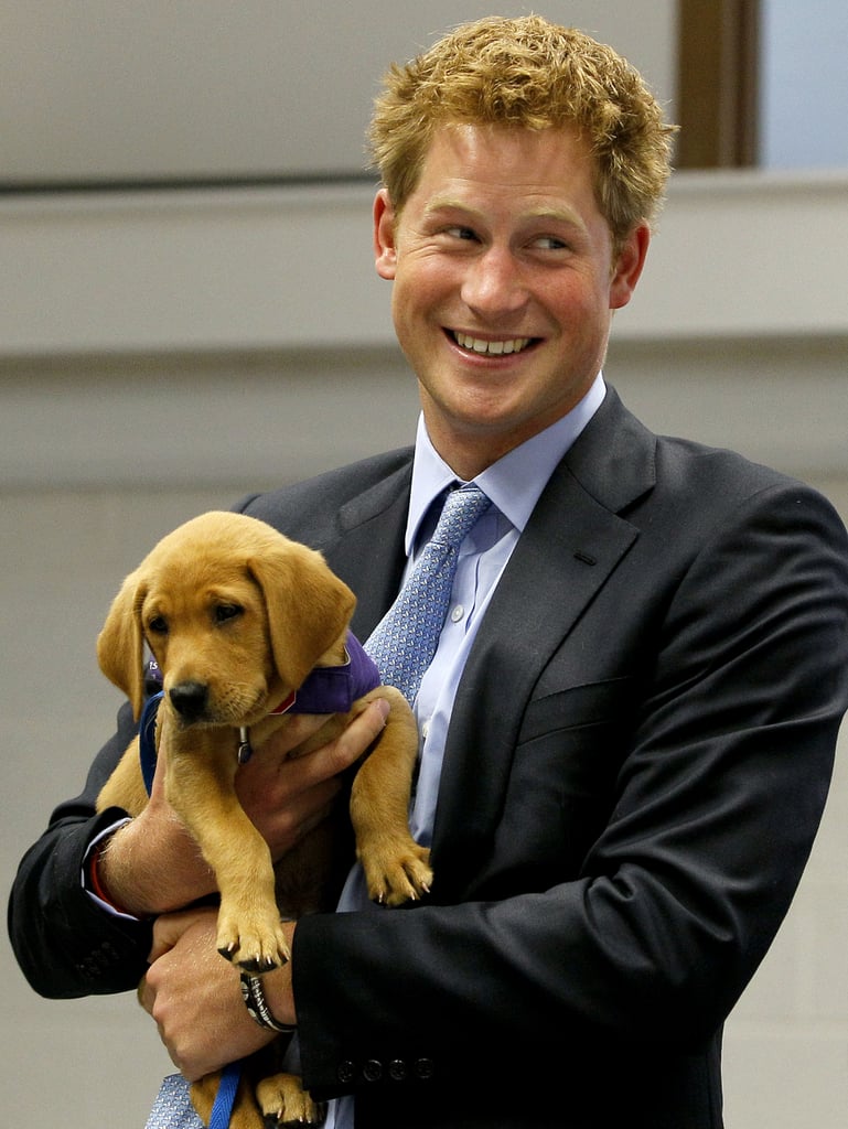 The "Holding a Puppy and Freaking Out About It" Prince Harry's
